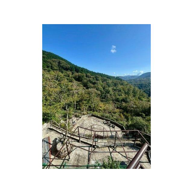 箱根仙石原戸建　（春山荘） 庭