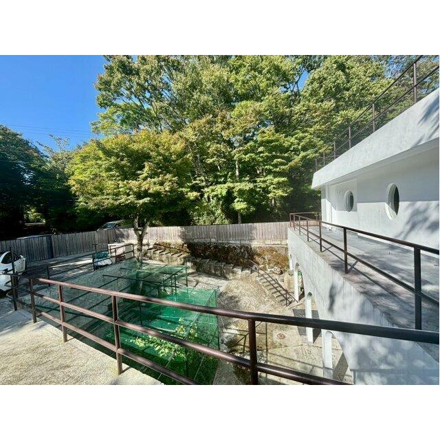 箱根仙石原戸建　（春山荘） 庭