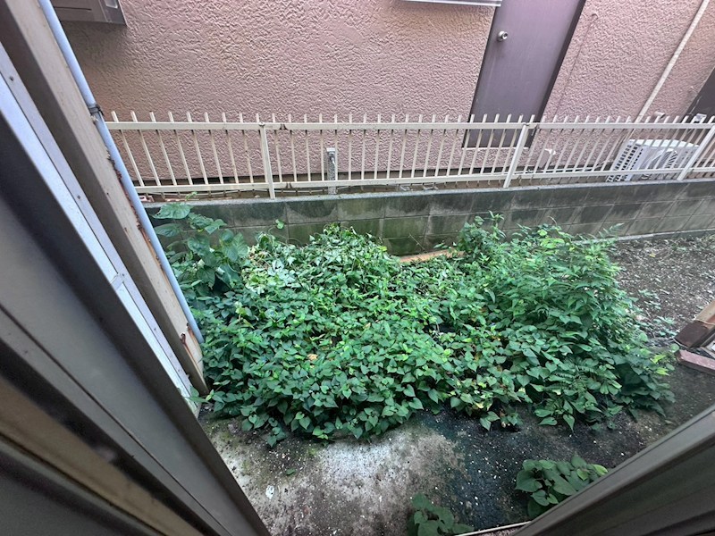 フォレストクラス東海大学前  ベランダ