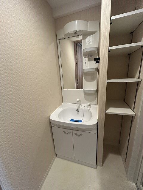 小田急伊勢原駅前マンション 洗面所