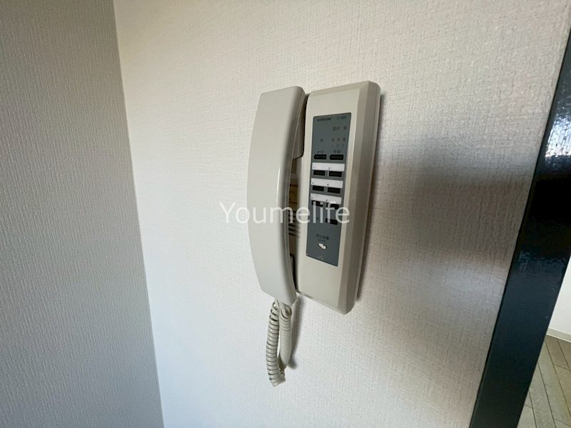 クリーン・ブルーの写真12