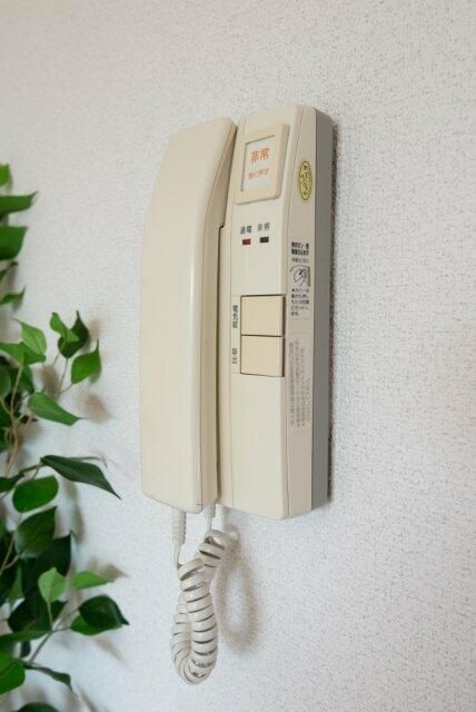 エルヴィーナ緑ヶ丘 セキュリティ