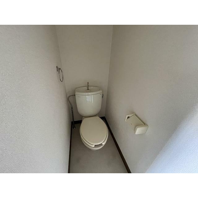 フェニックスの写真8