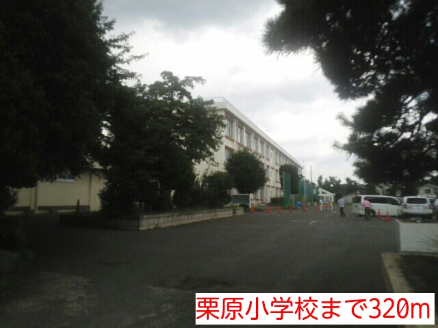 マロン・ドエルＡ その他