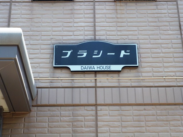 プラシード    その他