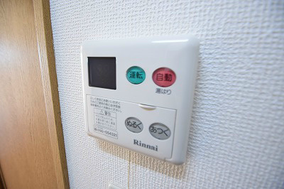 バロン その他