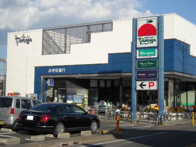 ジェメリ湘南 その他