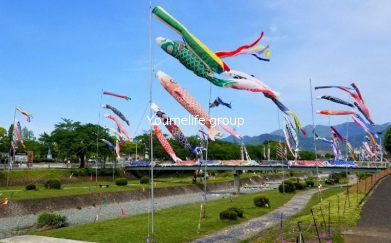 秦野市新町戸建 その他