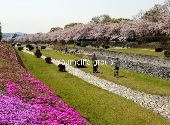 秦野市新町戸建 その他