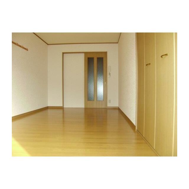 アンジェリカ その他