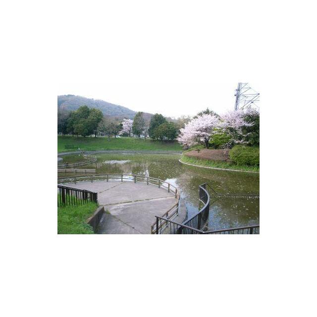 パラディーンⅠ 公園
