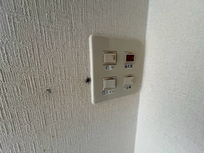 エスポワールⅡの写真21
