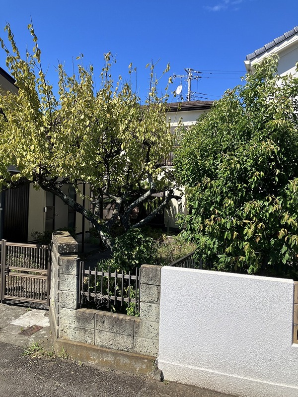 月京貸家 外観