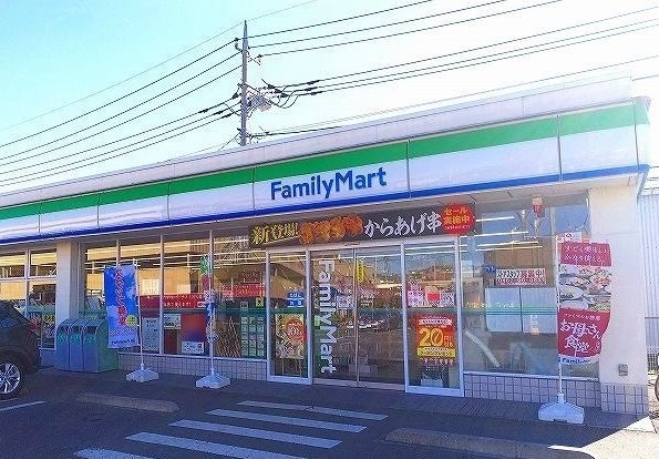 リアン・アミ その他