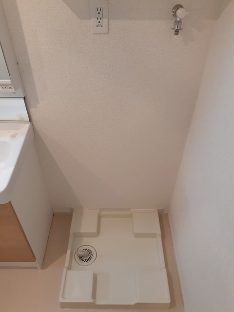 アムール その他