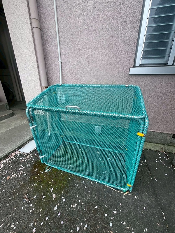 グランパスの写真21