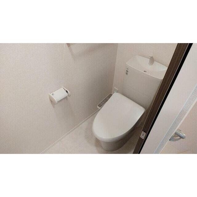 木もれ陽の写真10