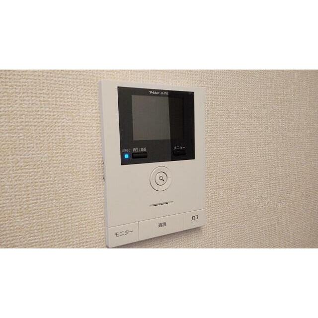 木もれ陽の写真11