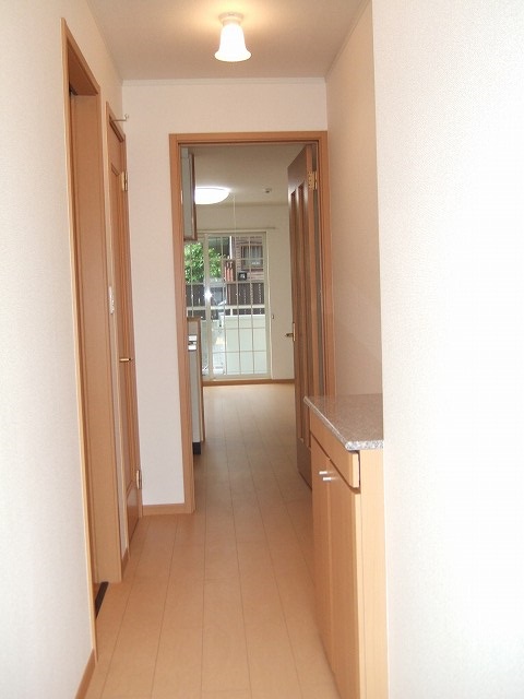 アルドール・Kの写真7