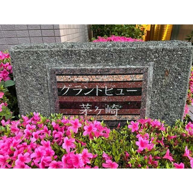グランドビュー茅ヶ崎の写真17