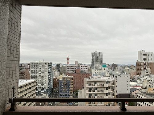 ライオンズプラザ平塚見附町 眺望