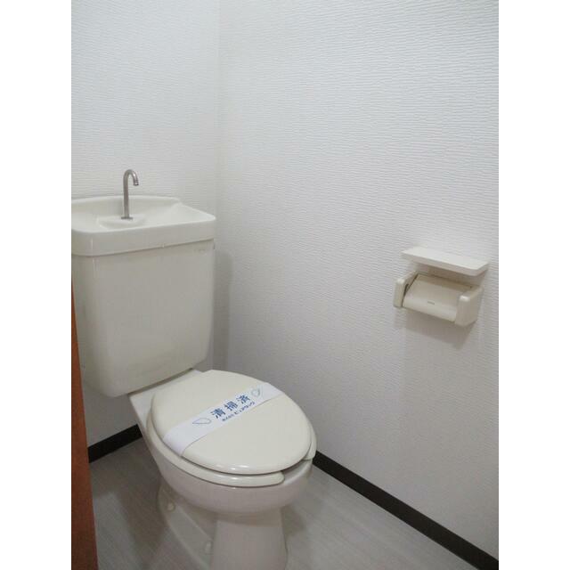サンライトの写真9