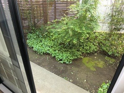 インフィニティY の写真17
