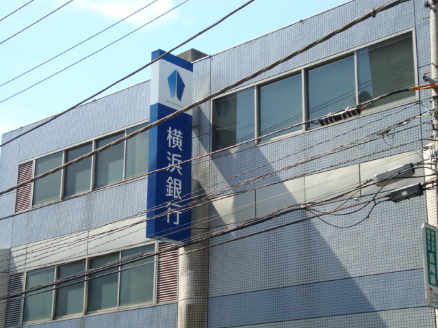 アウレリアの写真26
