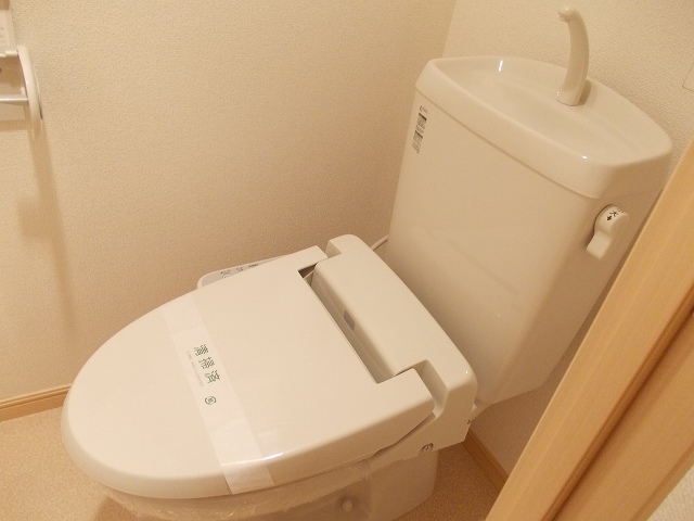 シェル　ブルーの写真11