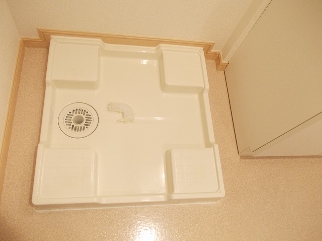 シェル　ブルーの写真14