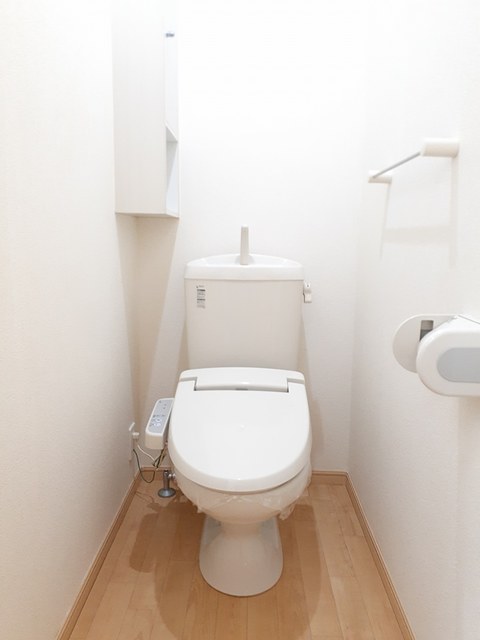 プラシードの写真11