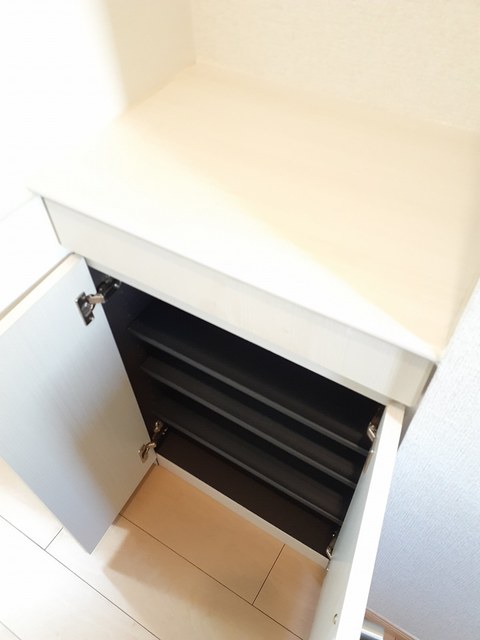 プラシードの写真12