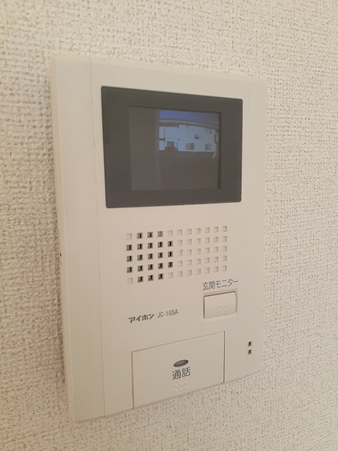 プラシードの写真13