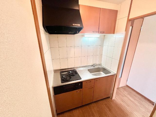 MハイムⅡの写真19