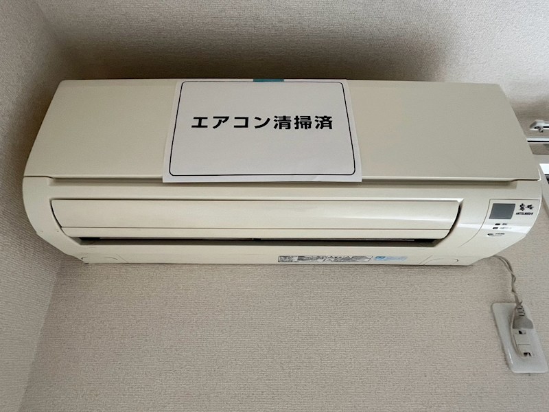 フリージアの写真12