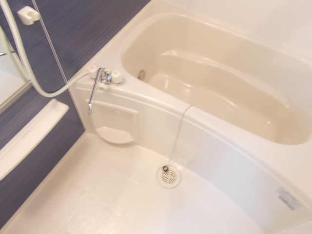 セリーンAの写真6