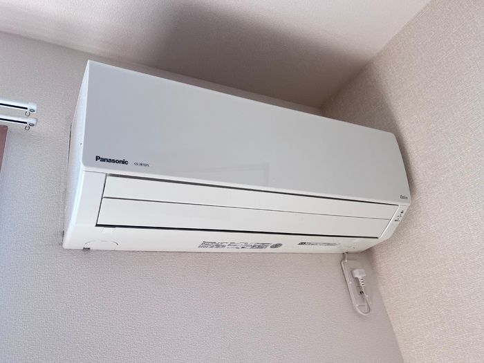 スワロウテイルの写真10