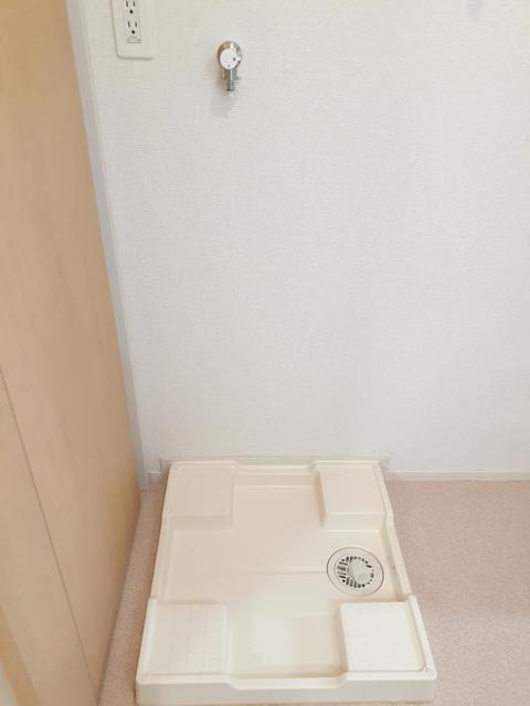 サンフラワーガーデンの写真12