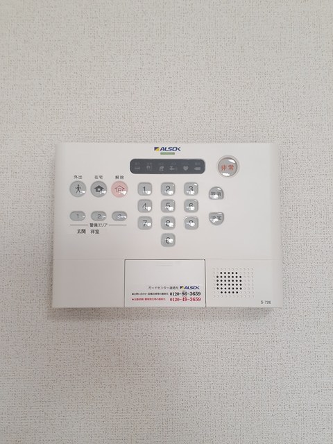 マイリーの写真12