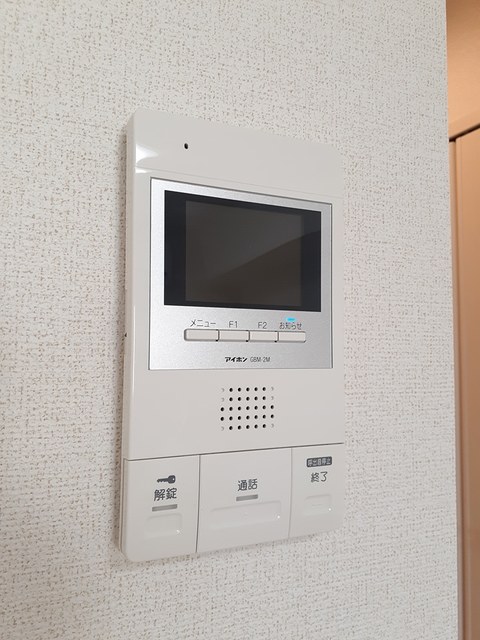 マイリーの写真13