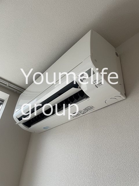 ダンデライオンの写真11