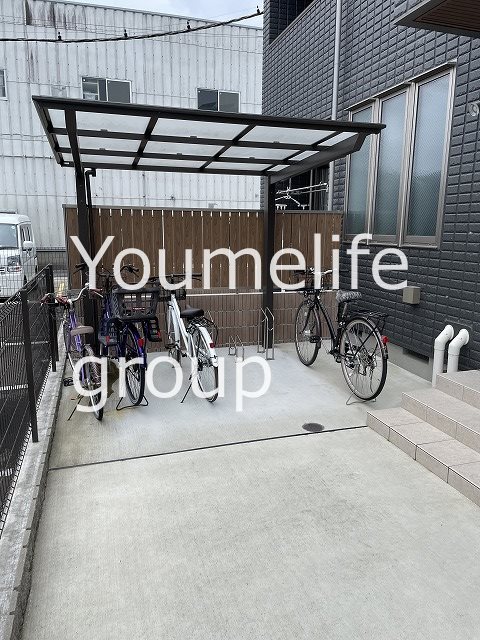 ダンデライオンの写真14
