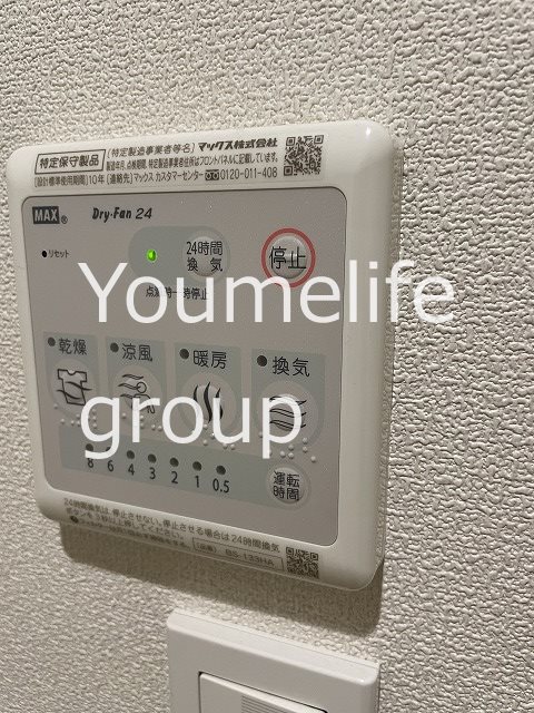 ダンデライオンの写真17