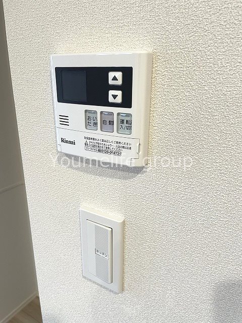 ダンデライオンの写真21
