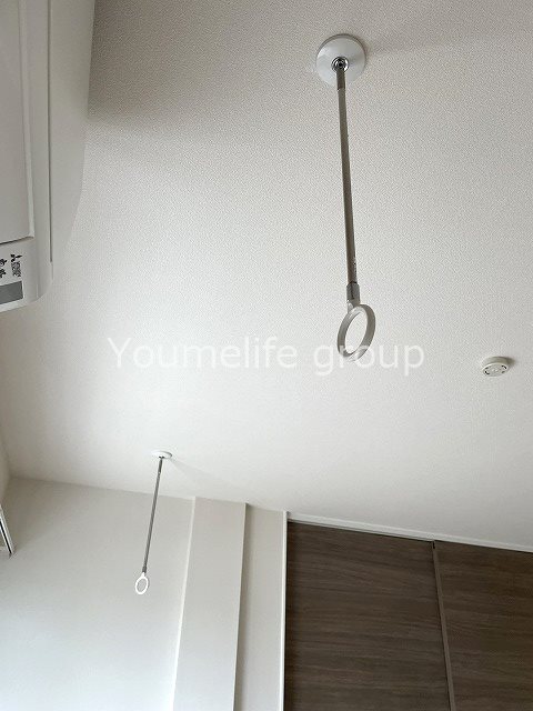 ダンデライオンの写真22