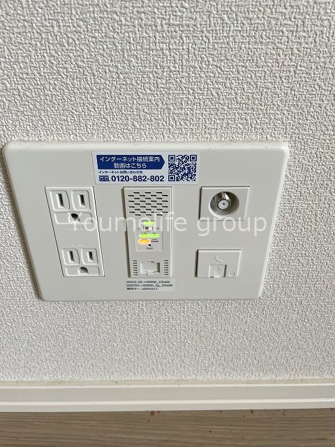 ダンデライオンの写真23