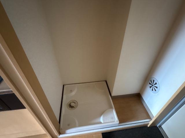 マーガレットSKの写真10