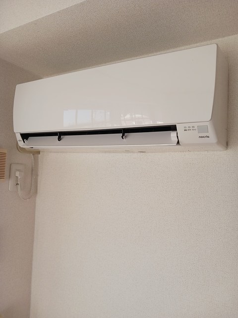 モスフロックスの写真13