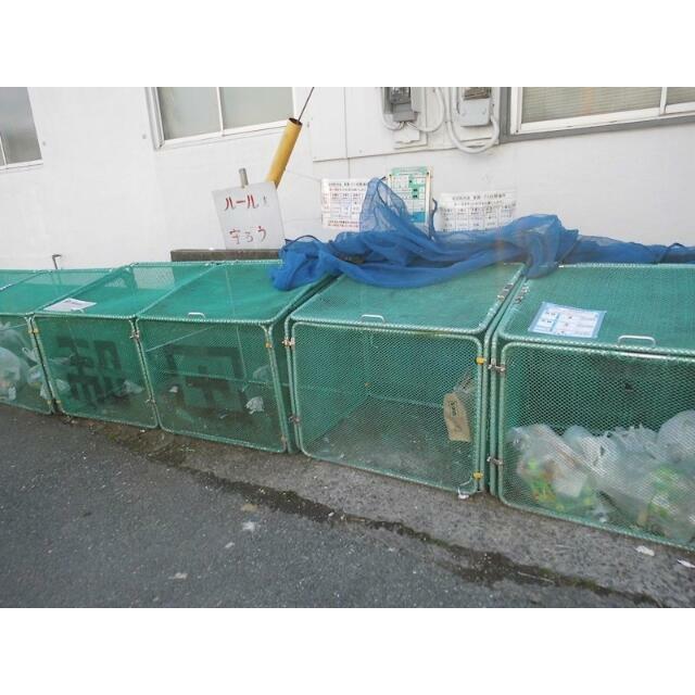 HOLLYの写真18