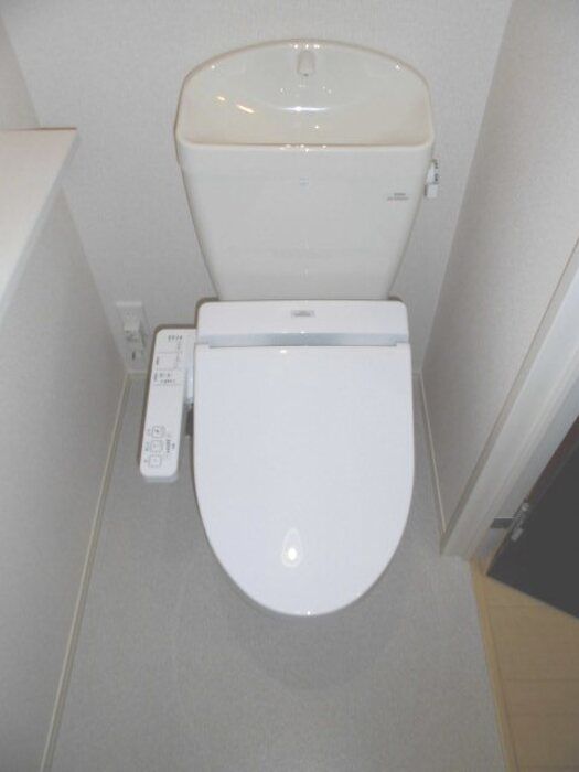 セントラル水引の写真3